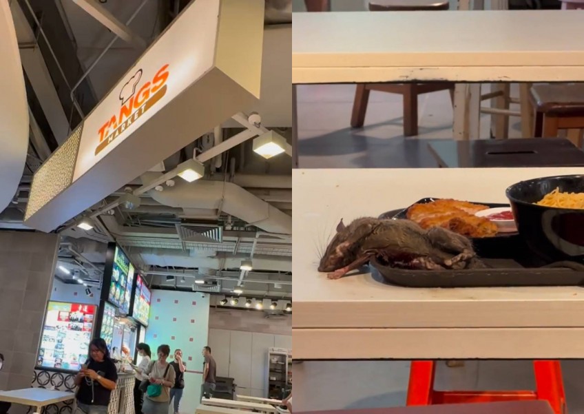 Tangs Market rat: Food court closed for cleaning, affected diner rejects $200 voucher