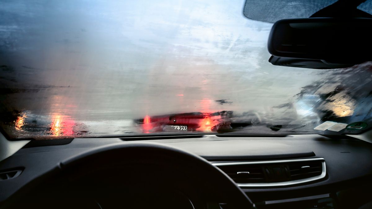 Weird cat litter trick stops your car windows fogging up so you don't need a de-mister