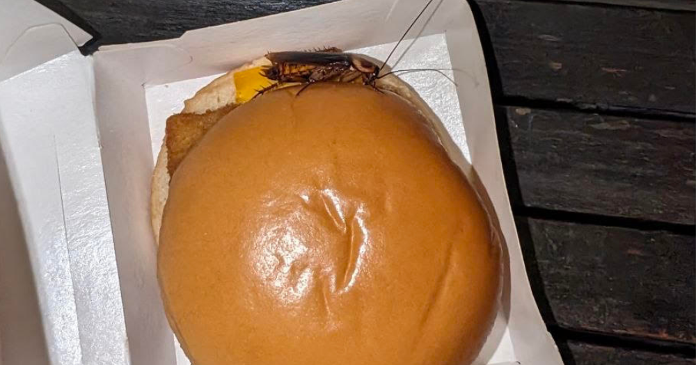 S'pore woman finds cockroach in Filet-O-Fish box after buying takeaway from Funan Mall McDonald's