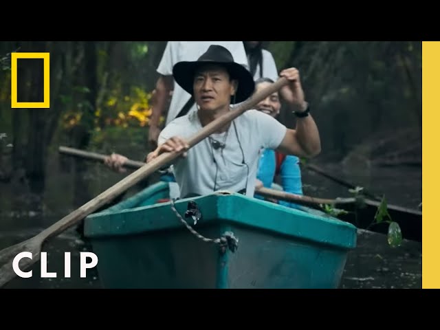 Explorer Albert Lin searches for the lost city of the Maya | Lost Cities With Albert Lin