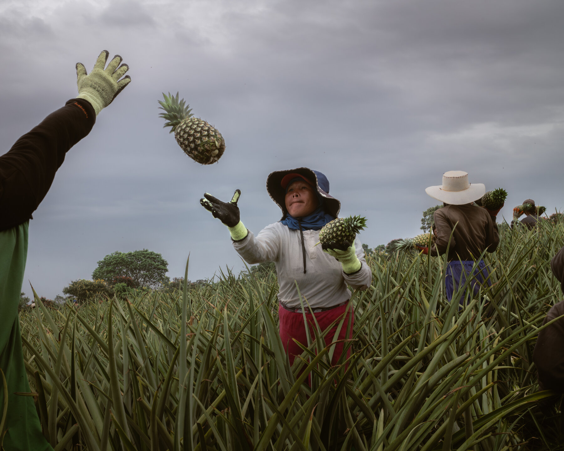 ‘There’s No Other Job’: The Colonial Roots of Philippine Poverty