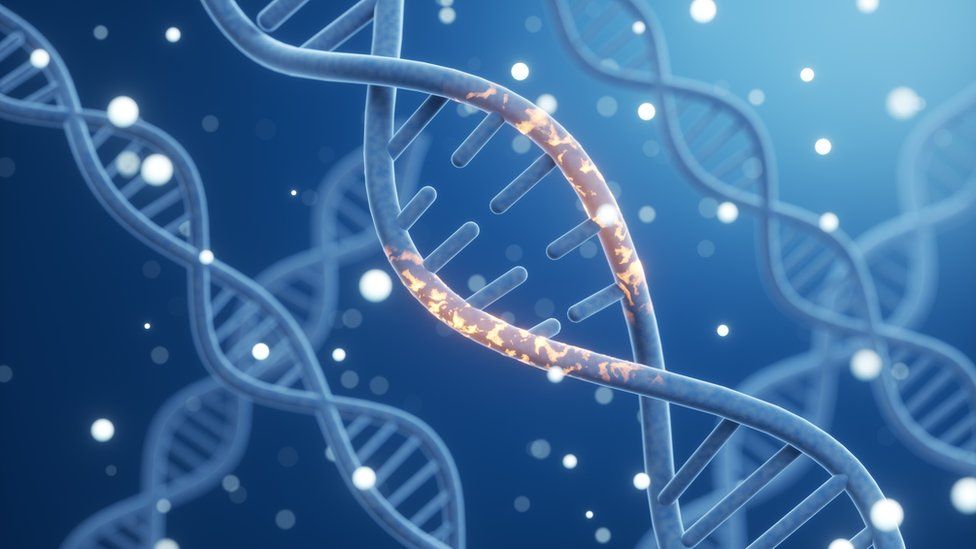NHS whole-gene screening helps tailor cancer care
