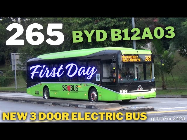 First Day | SG❤️BUS BYD Demonstrator on Service [SBST]