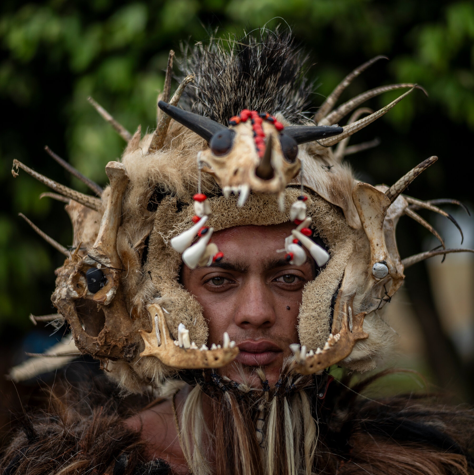 Where Anteaters and Anacondas Roam, and Ranchers Are Now Rangers