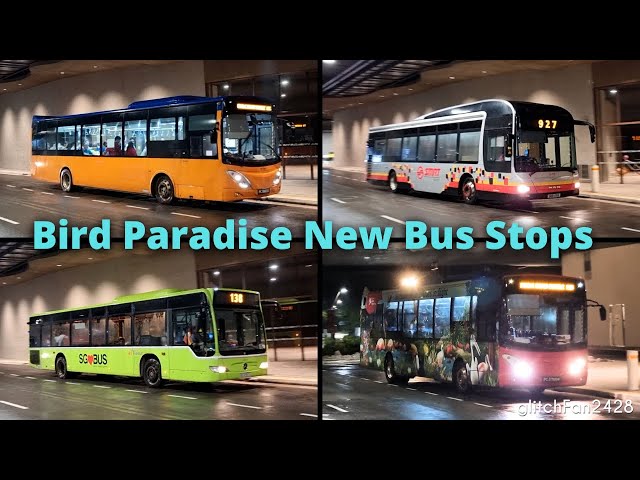 New Bus Stops at Bird Paradise + MKS Ride to Zoo