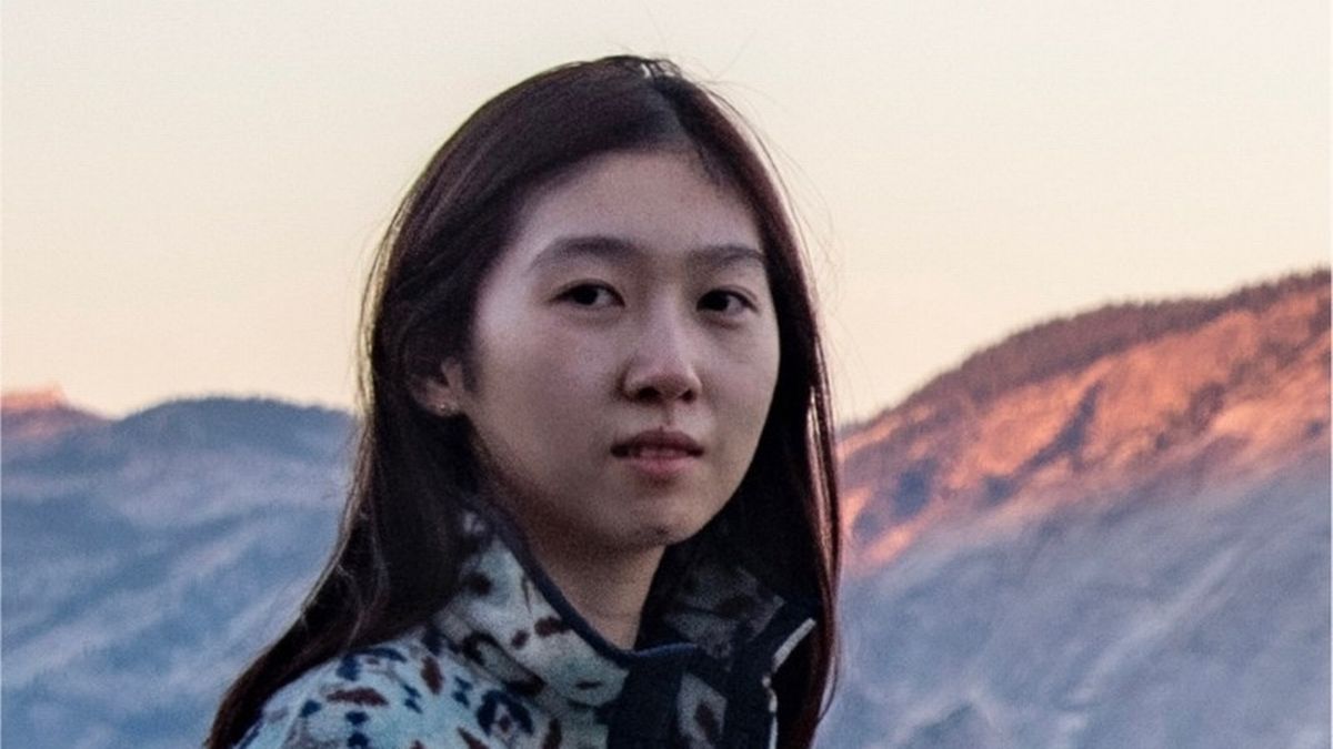 Google engineer 'found spattered in blood in catatonic state after beating wife to death'