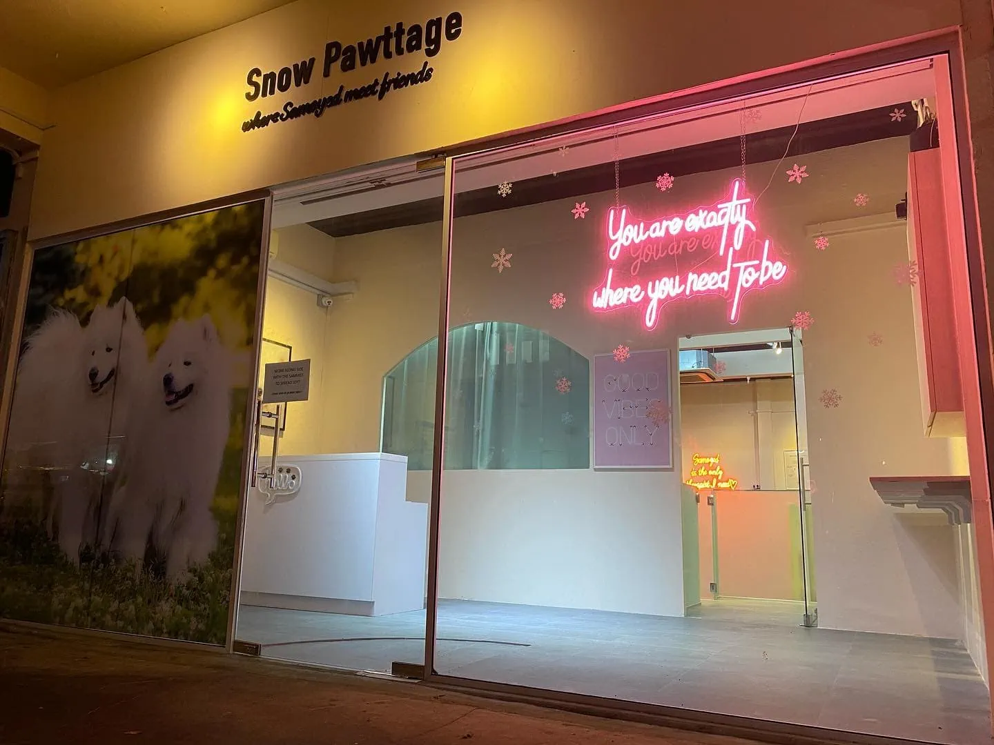 You will soon be able to play, cuddle and feed fluffy samoyed dogs at Snow Pawttage in Joo Chiat