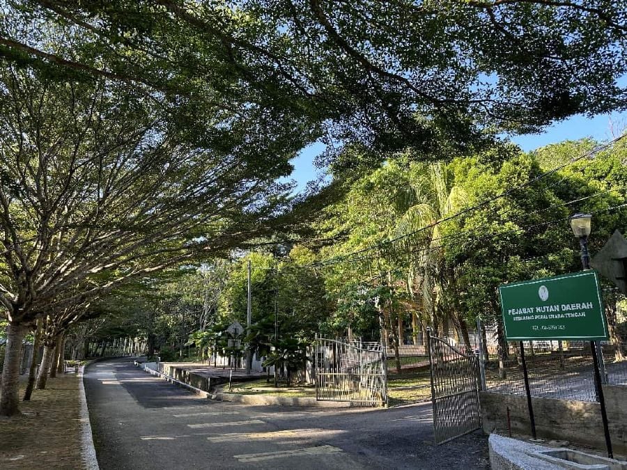 Taman Eko Rimba in Bukit Mertajam welcomes visitors after two years of upgrade works