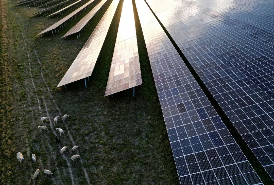 Some European solar firms heading to US