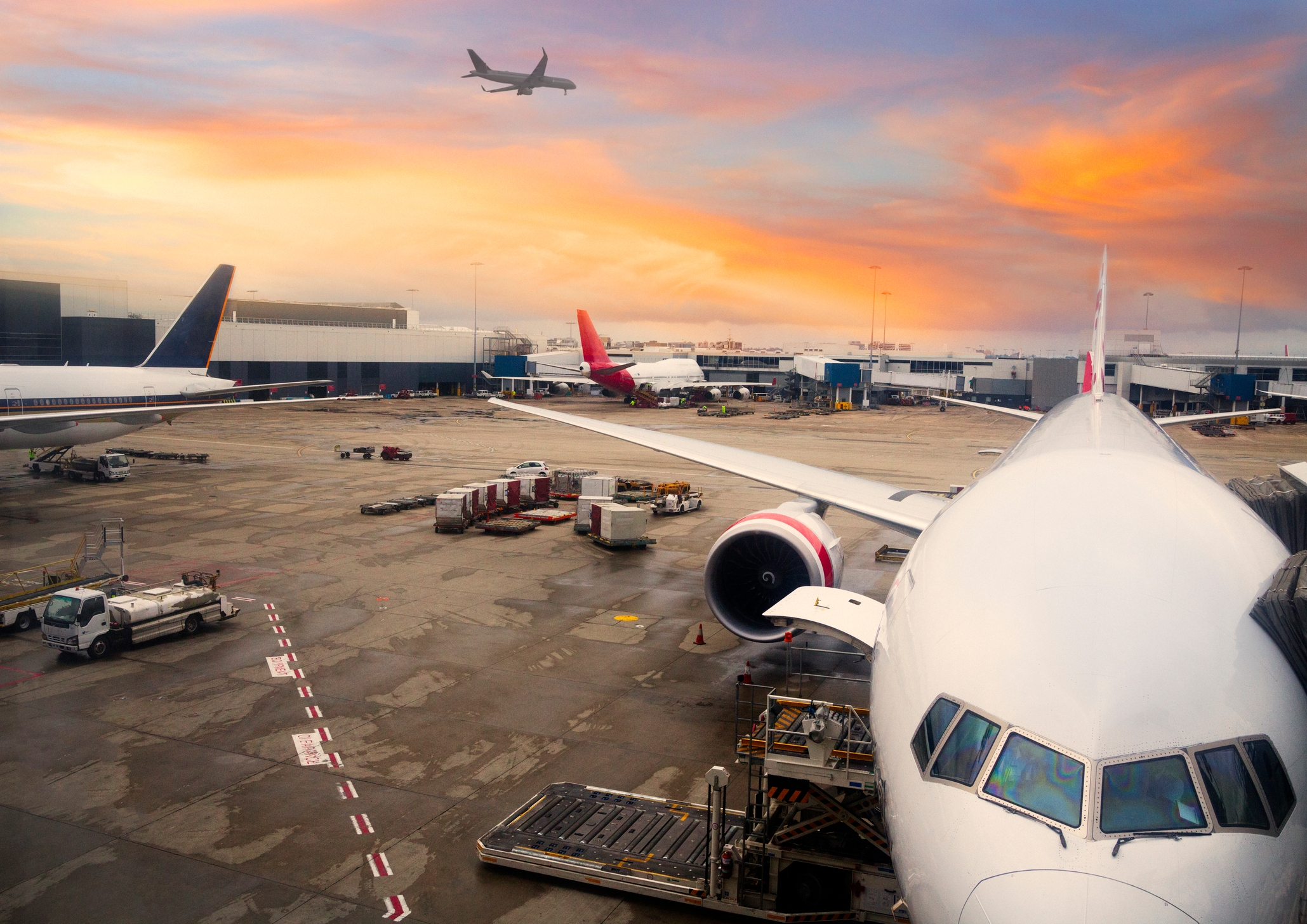Incredible story behind famous photo of boy who fell from a jumbo jet