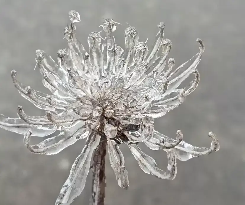给你们看看:什么叫湖北的冻雨，根本没办法清理