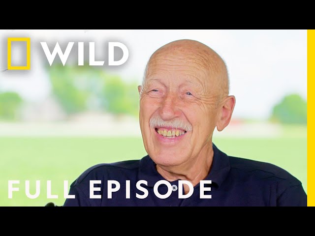 Dr. Pol Builds a New Family Farm! (Full Episode) | The Incredible Pol Farm