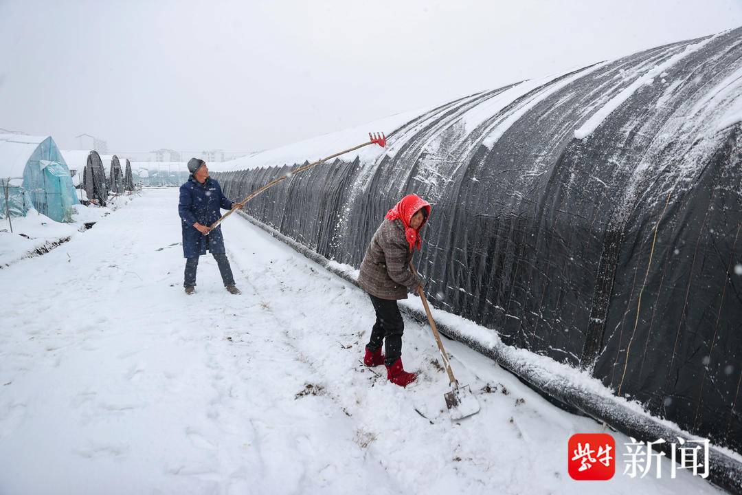 连云港赣榆区：应对低温雨雪天气 保障蔬菜供应