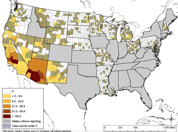 Terrifying maps show deadly fungal diseases are spreading fast across the US