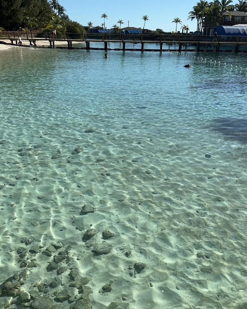 Mother of Kentucky woman allegedly drugged and raped with friend at Bahamas resort knew ‘something wasn’t right’ before receiving disturbing text