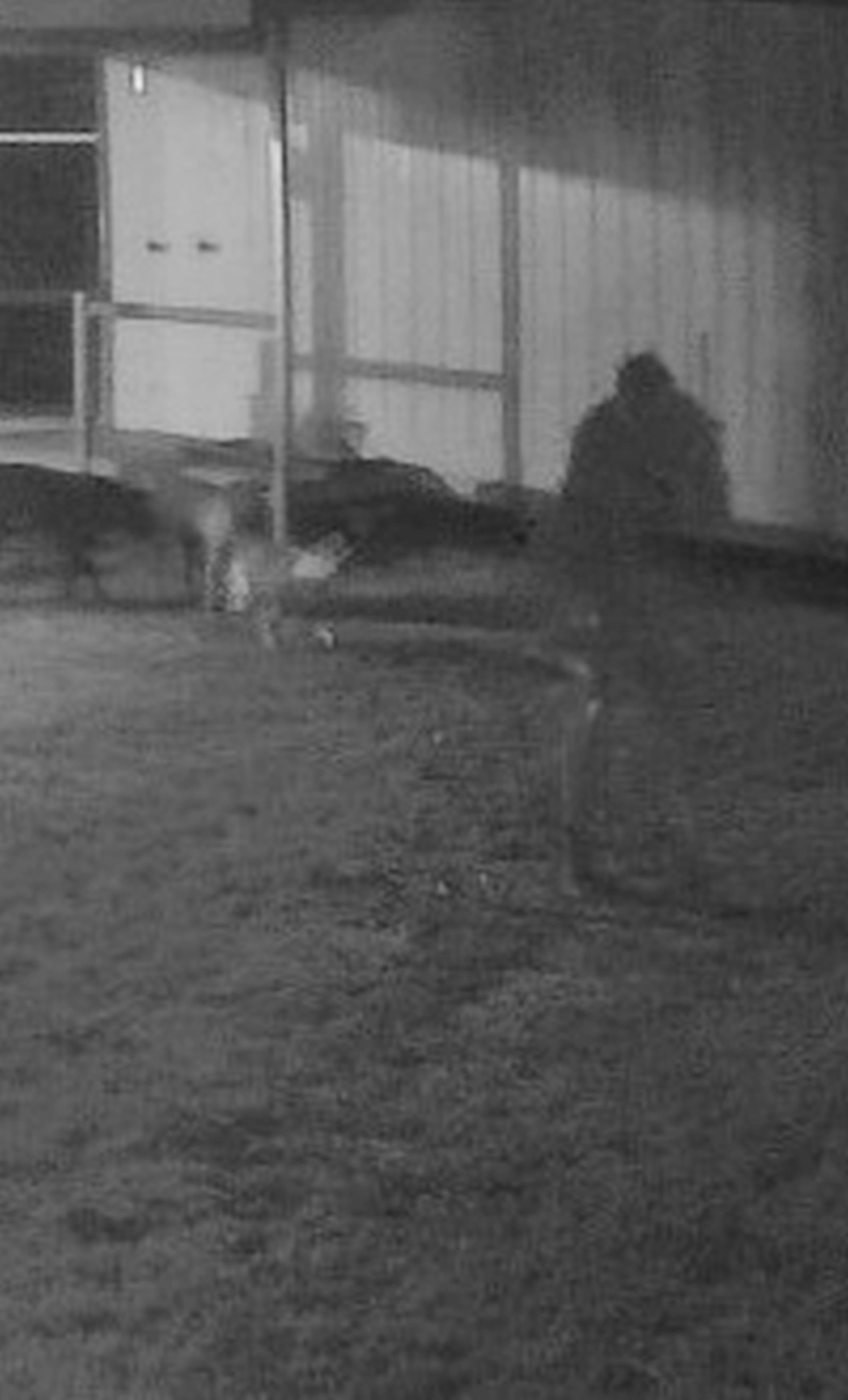 Woman terrified after spotting ‘ghost of war criminal soldier' in eerie garden footage