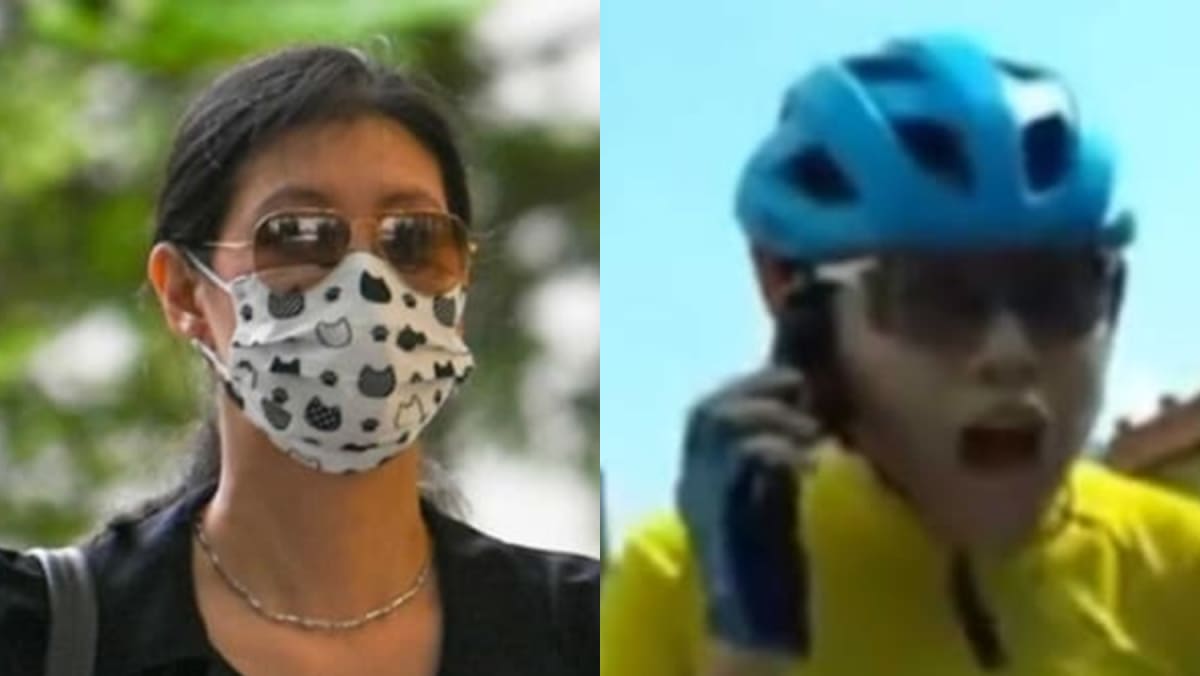 Woman who drove off with cyclist on bonnet in Katong road rage incident pleads guilty