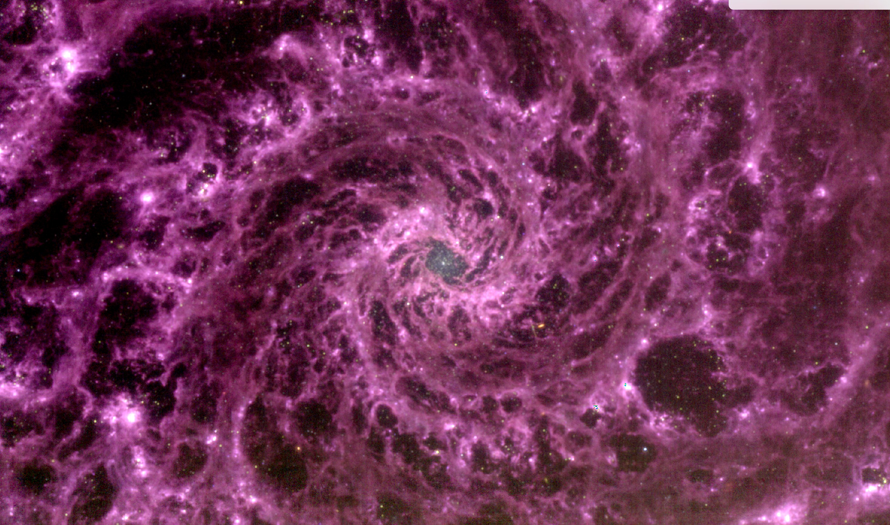 NASA's James Webb telescope discovered a purple galactic swirl which looks like a multiverse portal