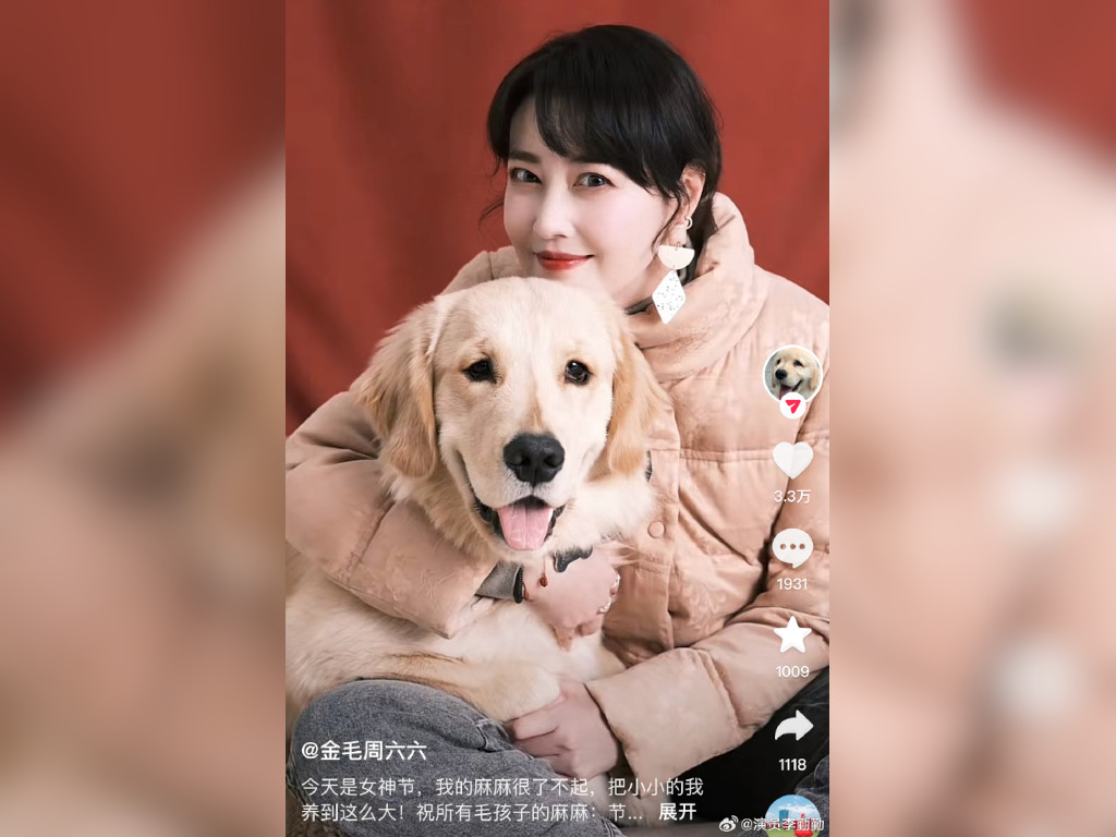 Li Qinqin takes care of Kathy Chow's dog