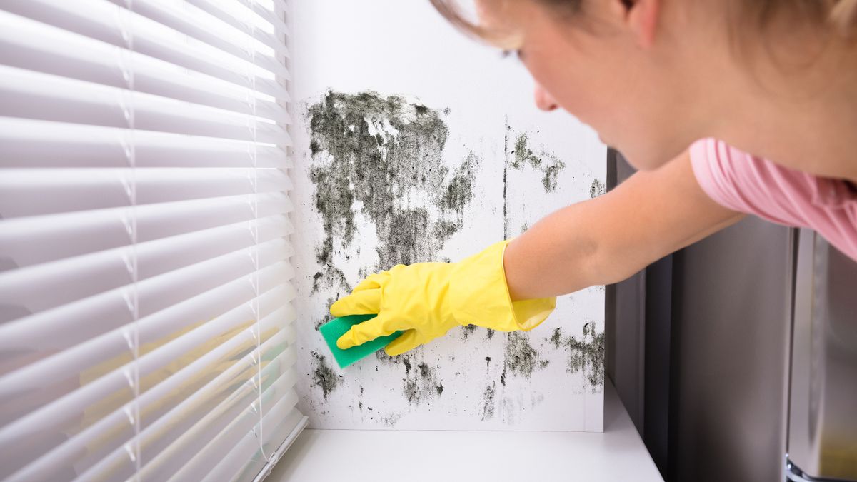 Mrs Hinch fans say mould 'disappears' in minutes with 'fantastic spray