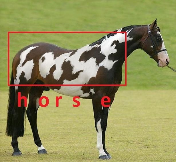 Only those with 'high IQ' can spot second horse in mind-bending optical illusion