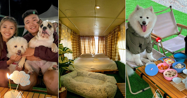 There's A Pet-Friendly Glamping Site Surrounded By Nature That's Less Than An Hour From KL