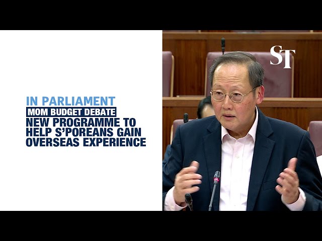 New immersion programme offers more overseas experience opportunities for Singaporeans