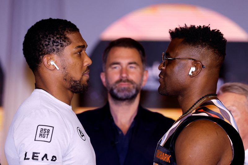 Boxing-Ngannou will struggle to derail in-form Joshua, says Swede Wallin