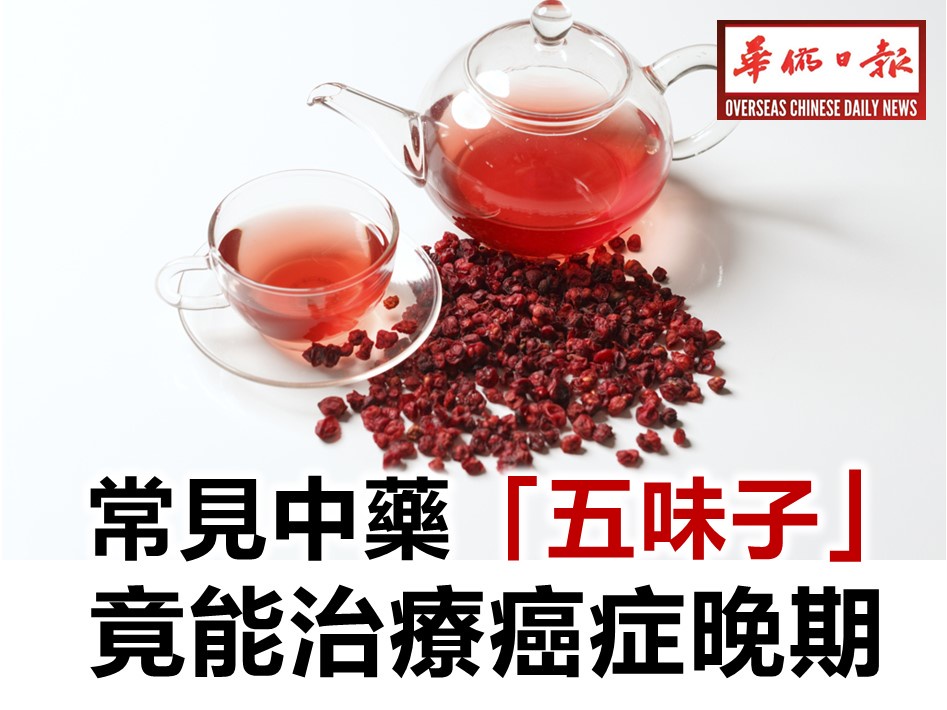 常见中药「五味子」竟能治疗癌症晚期