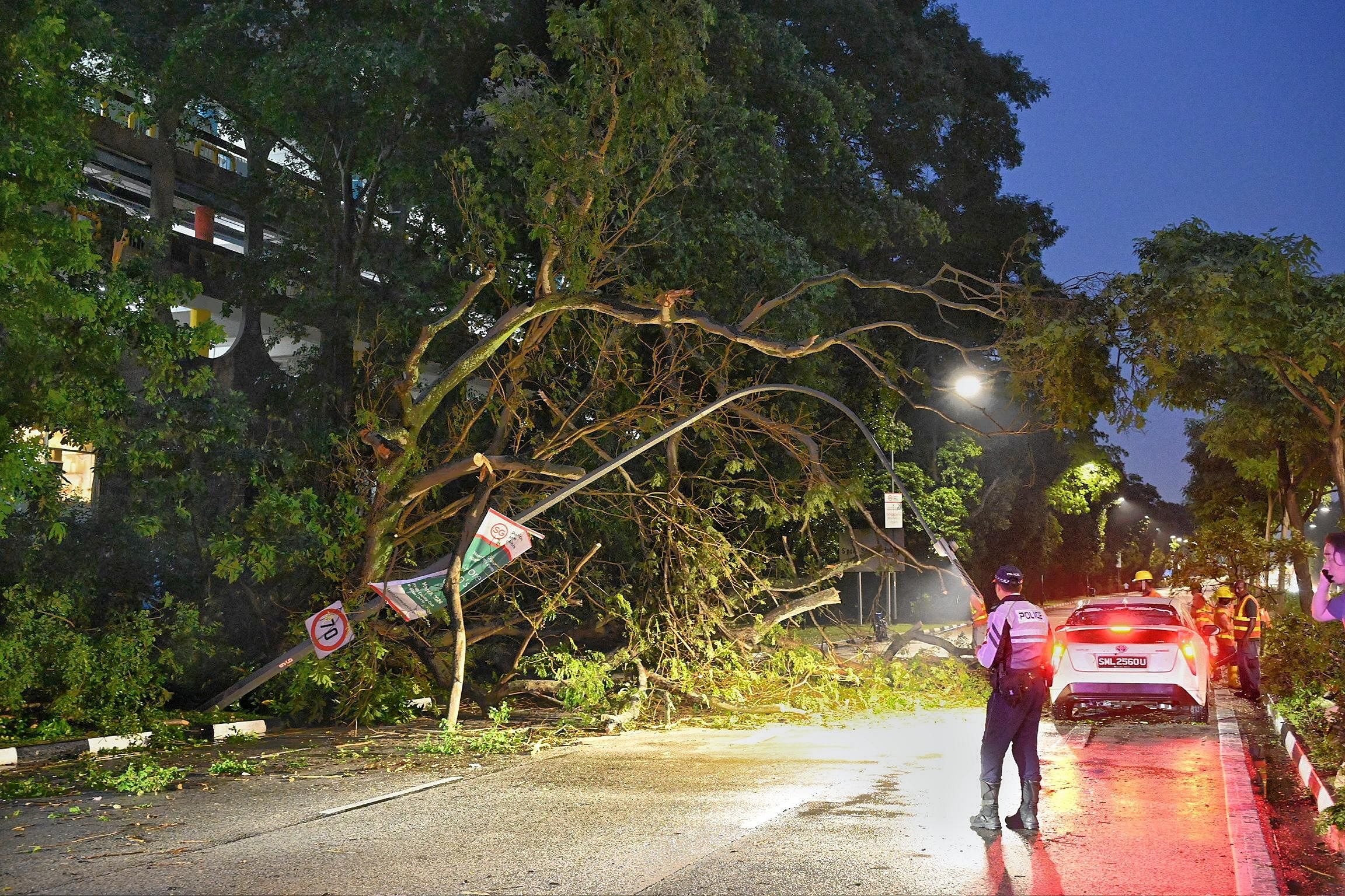 Fallen tree blocks Nicoll Highway towards National Stadium for over 3 hours