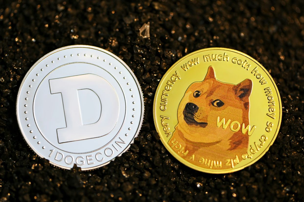 Dog and frog coins? The ABCs of a RM234bil joke