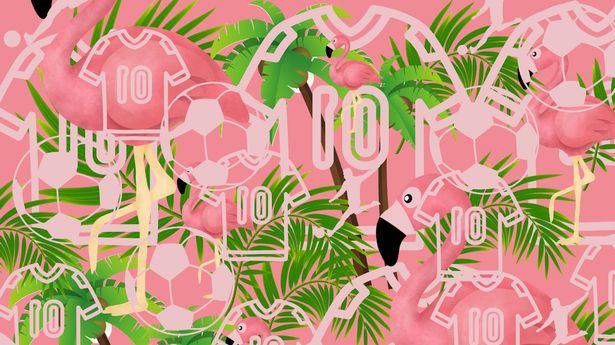 Only 23% of people can't spot footballer hiding among pink flamingos