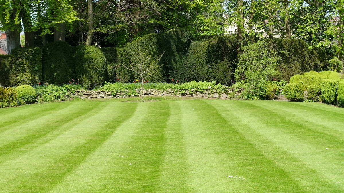 Achieve a perfectly level lawn in time for summer with gardener's simple trick