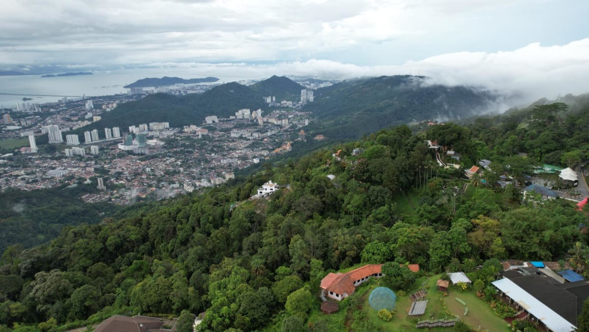 S'porean man found dead in Penang ravine days after going missing!
