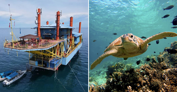 Did You Know: The World's First & Only Live-On-Board Dive Rig Resort Is In Malaysia