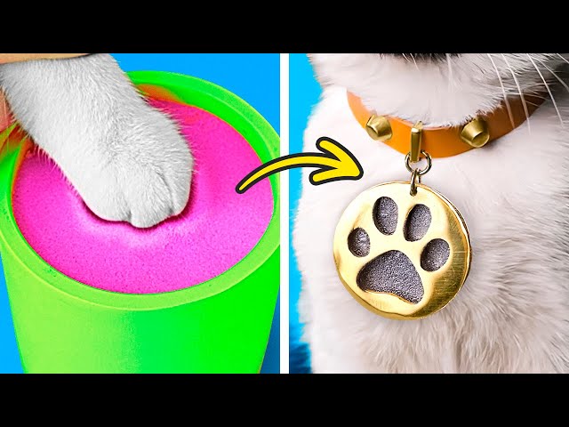 Amazing Pet Hacks And DIY Crafts For Your Loved Ones