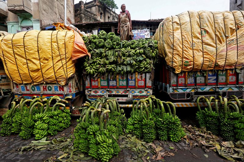 India's February wholesale prices rise 0.20% On year, pace slows