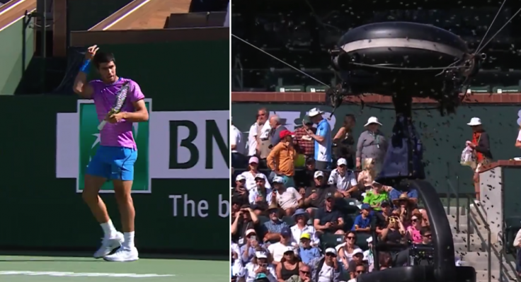 BNP Paribas Open Tennis Match Suspended After Swarm of Bees Invades Court