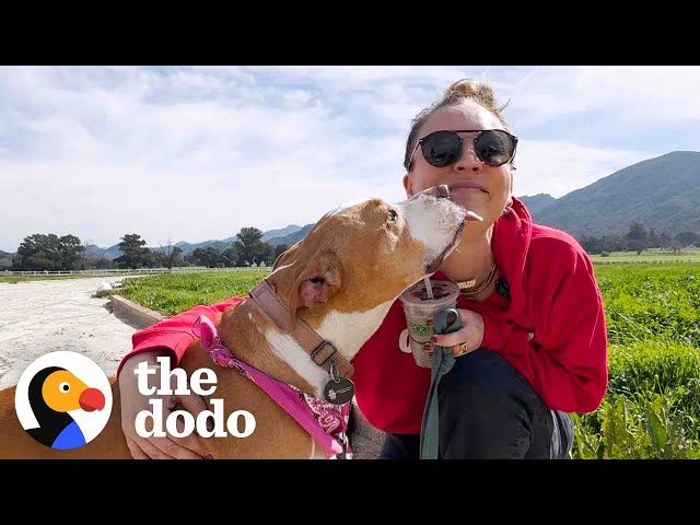 Kaley Cuoco Goes on A Dodo Dream Date | The Dodo