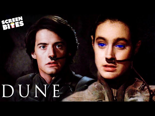 Paul Atreides Meets The Fremen | Dune (1984) | Screen Bites