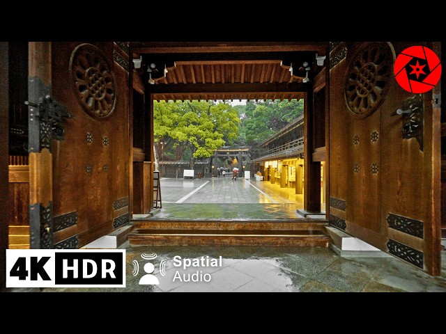 Relaxing Rain Walk in Tokyo's Largest Shrine, Umbrella & Nature Sounds for Sleep and Study