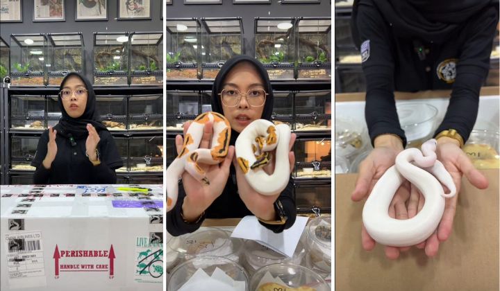 [Watch] Next Level “Unboxing” – These Are NOT Kuih Raya