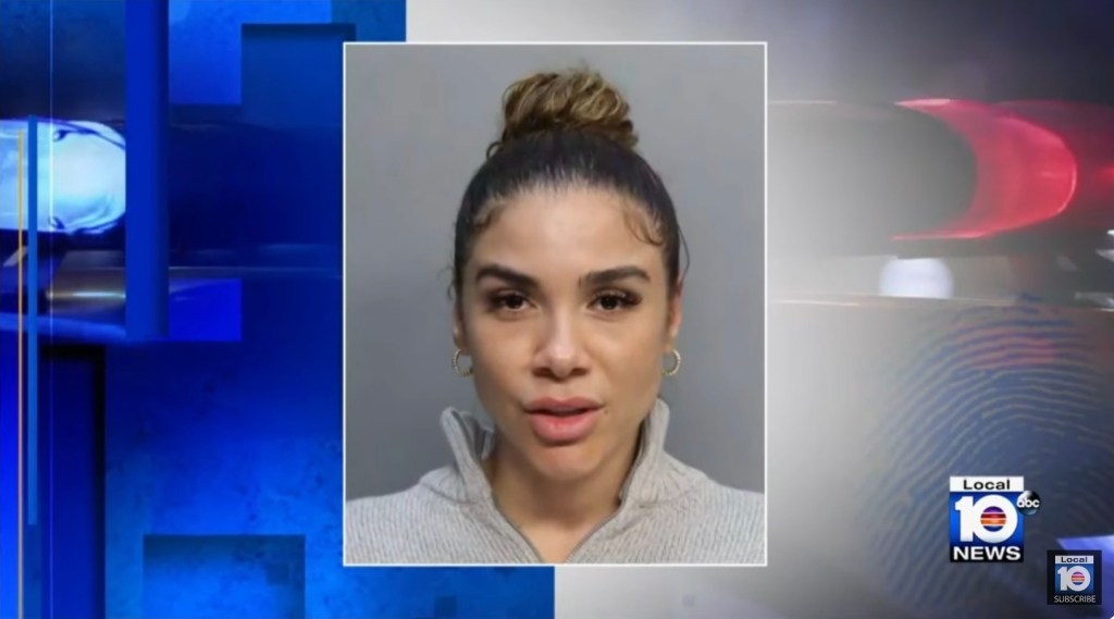 Singer Sessi allegedly driving with phony diplomatic plates pulled out of vehicle by Florida cops in wild video