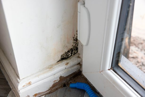 Family's mouldy flat hell while housing association boss enjoys £3million pad