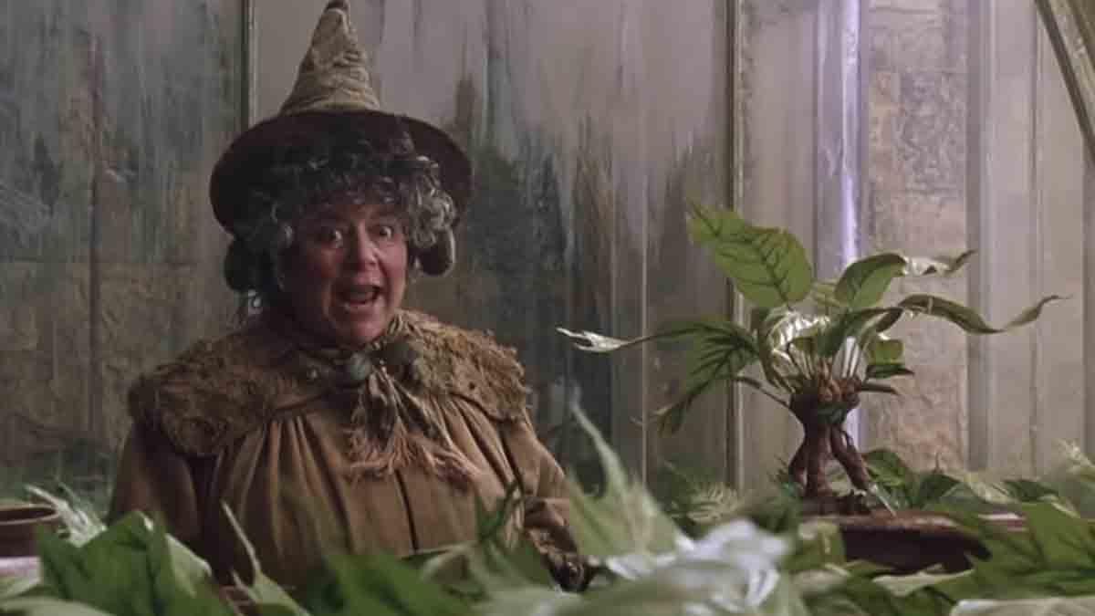 Harry Potter Star Miriam Margolyes Reveals She Turned Down a Marvel Role, "I Didn't Want To Be in Georgia for Four Months"