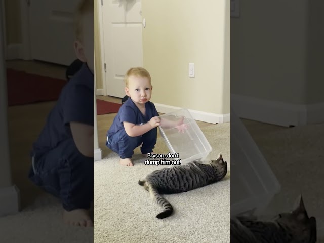 Toddler Rescues A Kitten From The Shelter And It's The Cutest Thing EVER | The Dodo