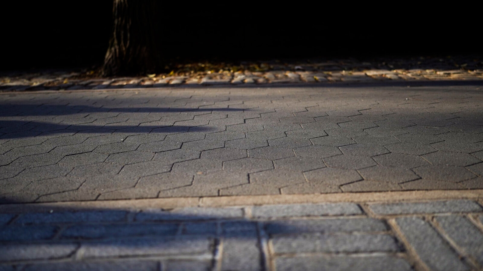 Fixing Central Park’s Bumpy Sidewalks