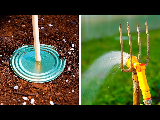 Genius Gardening Tips and Tricks for Plant Enthusiasts!
