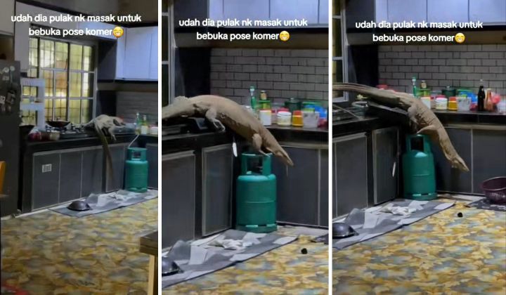 [Watch] Is That AI Or An Actual Biawak? – Big Lizards Terrorising Homeowners