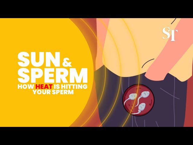 How heat is damaging your sperm (and what can you do about it)